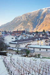The Alps and Vineyard in Chur at sunrise