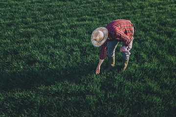 Wheat farmer analyzing crop development