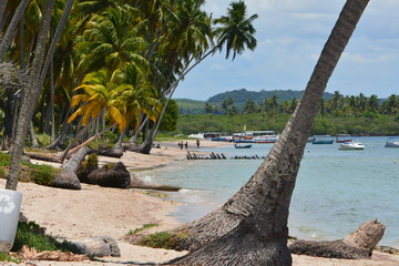 carneiros - pernambuco 