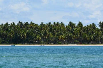 carneiros - pernambuco 