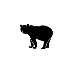 Bear vector illustration icon
