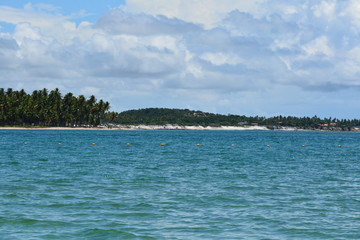 carneiros - pernambuco 