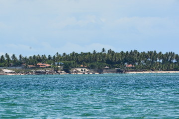 carneiros - pernambuco 