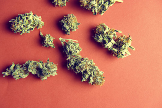 From above pile of medical marijuana buds scattered on red surface background