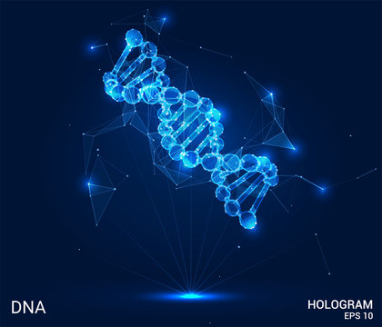 A hologram of DNA. A DNA chain of polygons, triangles , points, and lines. DNA is a low-poly compound structure. The technology concept.