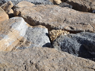 Big stones by the beach by the sea, rocky beach