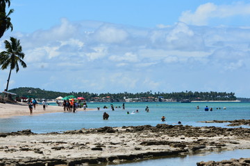 carneiros - pernambuco 