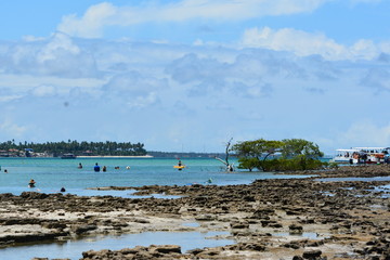 carneiros - pernambuco 