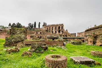 Ruins view of the Roman Forum in Rome, Italy on a cloudy day with green grass.