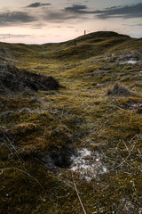 Dünen auf Fanö. Dänemark Urlaub am Meer.