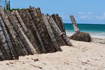 carneiros - pernambuco 