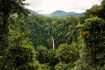 Powerful stream of water falling from green cliff in amazing jungle on cloudy summer day in Costa Rica
