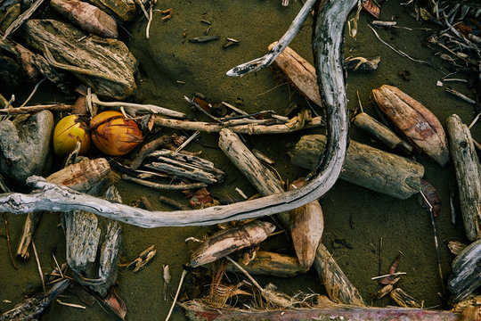 From above wooden tree branches and pieces drifted by ocean on sandy beach in Costa Rica