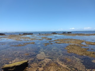 Coast of the sea.