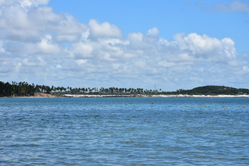 Fototapeta premium carneiros - pernambuco