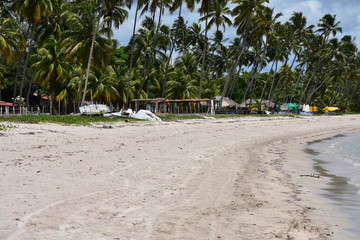 carneiros - pernambuco