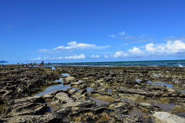 carneiros - pernambuco