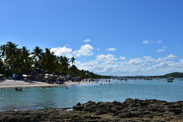 carneiros - pernambuco