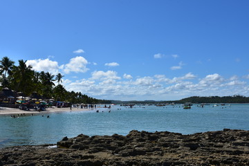 carneiros - pernambuco