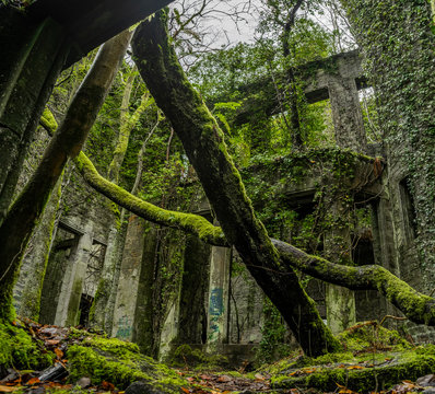 Old ruins with rotten timbers and moss