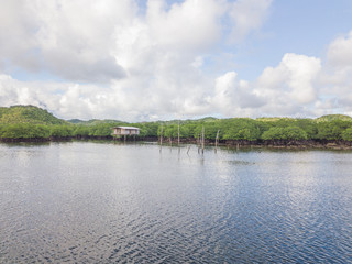 Fototapeta premium Aerial of fisherman house in mangrove forest