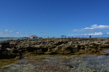 carneiros - pernambuco 