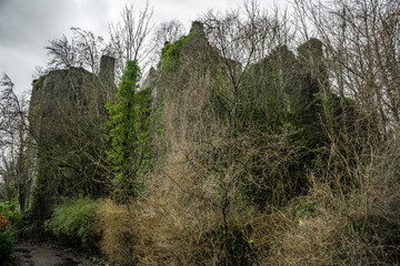 Old stone mystical ruins in a bush