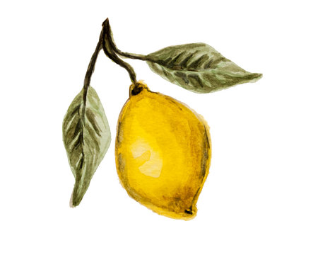 rametto con limone ad acquerello isolato su sfondo bianco