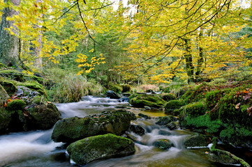 Ochsenkopf im Herbst
