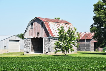 Old Barn and Shed