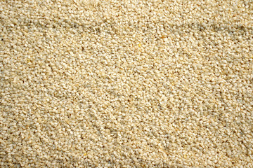 Closeup of many sesame seeds.
