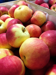 Fototapeta na wymiar Group of ripe and fresh apples at farmers market