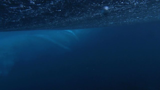 Underwater shot of a surfer catching a big barrel in slow motion