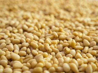 Pine nuts background. Unshelled cedar seeds, closeup