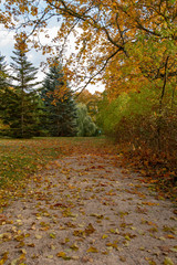 Beautiful village road in golden Autumn