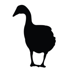 a duck body silhouette vector