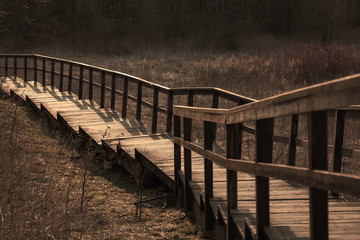 Toned photo of a long wooden vintage staircase in a park.