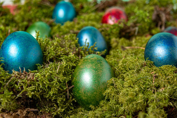Shiny colorful eggs on green moss. Easter Eggs
