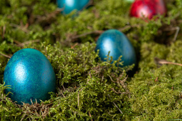 Colorful eggs on green moss. Easter Eggs