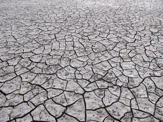Cracked natural floor in high contrast