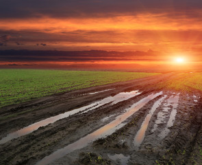 road in spring steppe after rain