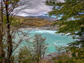 lake in forest