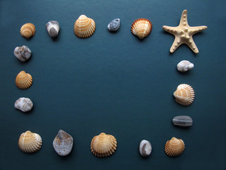 The frame made of sea shells, pebbles and starfish on green background. Summer flat lay. Travel and vacation concept. Top view with copy space for your text