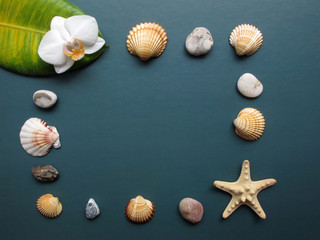 The frame made of sea shells, pebbles, starfish and orchid on green background. Summer flat lay. Travel and vacation concept. Top view with copy space for your text