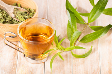 Lemon verbena leaves and verbena tea. Aloysia citrodora.