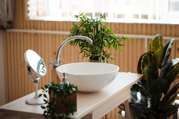White ceramic washbasin on a wooden surface in a modern bathroom with potted plants. Interior design concept