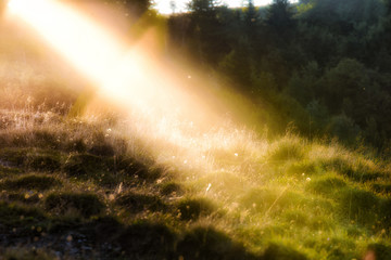 Naklejka premium sun ray dividing the landscape