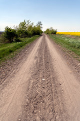 Naklejka premium Dirt road in the great hungarian plain