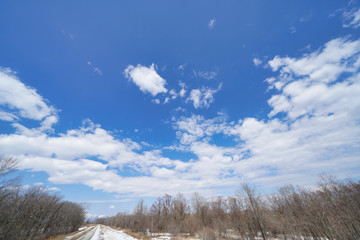 北海道の雪解け