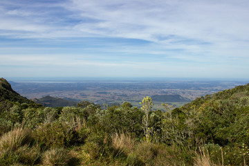 Fototapeta premium Cambará 01